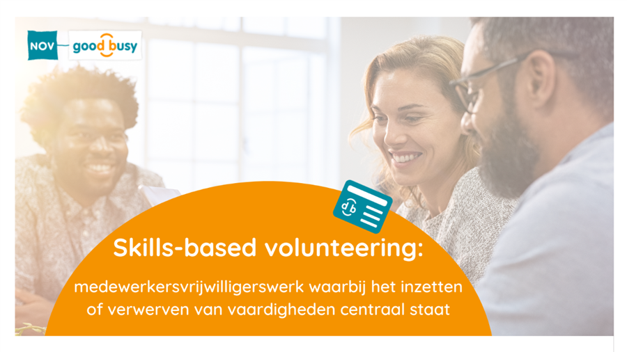 Bericht Wat is skills-based volunteering? bekijken